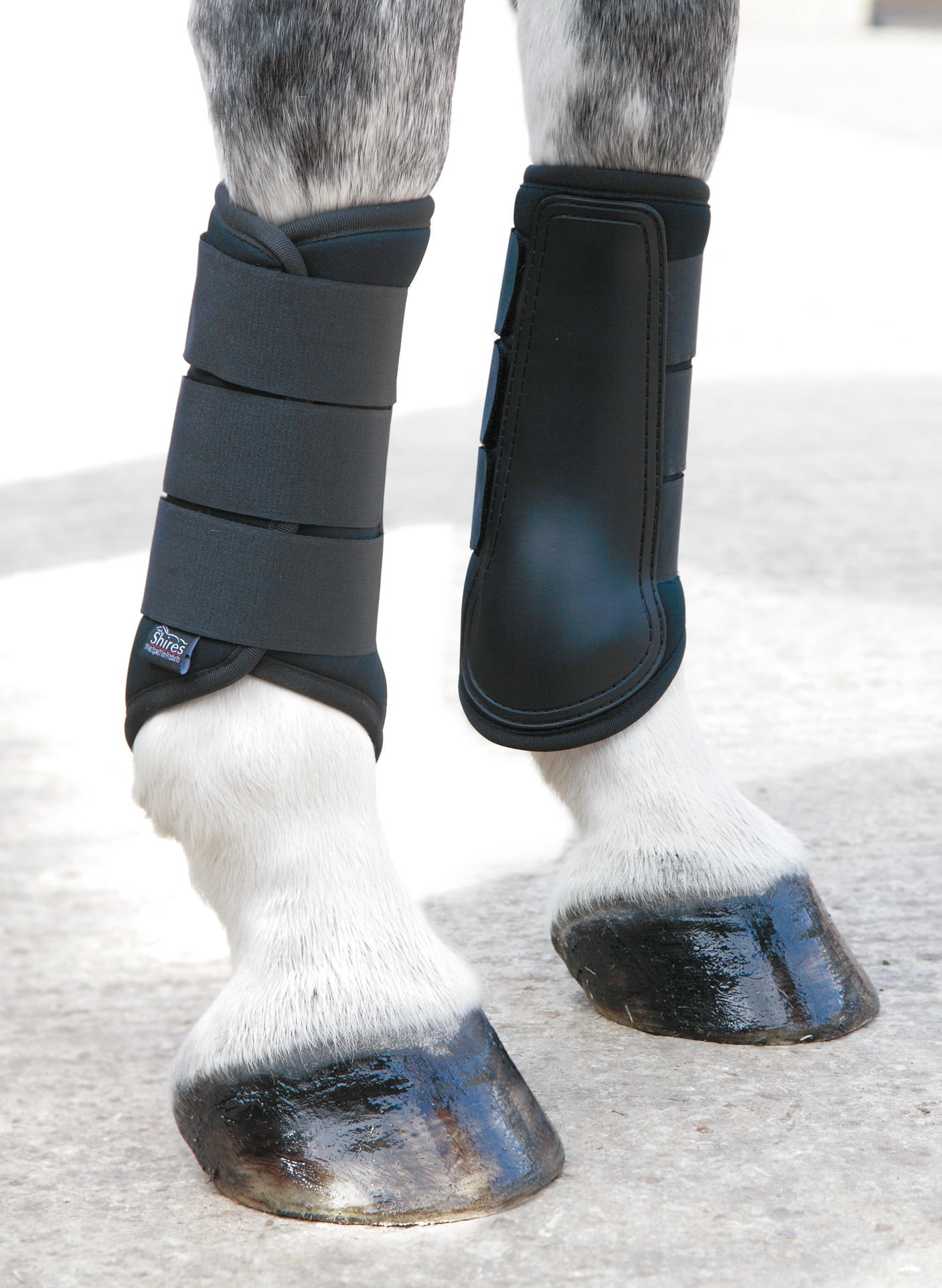 SHIRES EQUESTRIAN PADDED COLOURED NEOPRENE HORSE BRUSHING BOOTS PONY/COB/FULL 