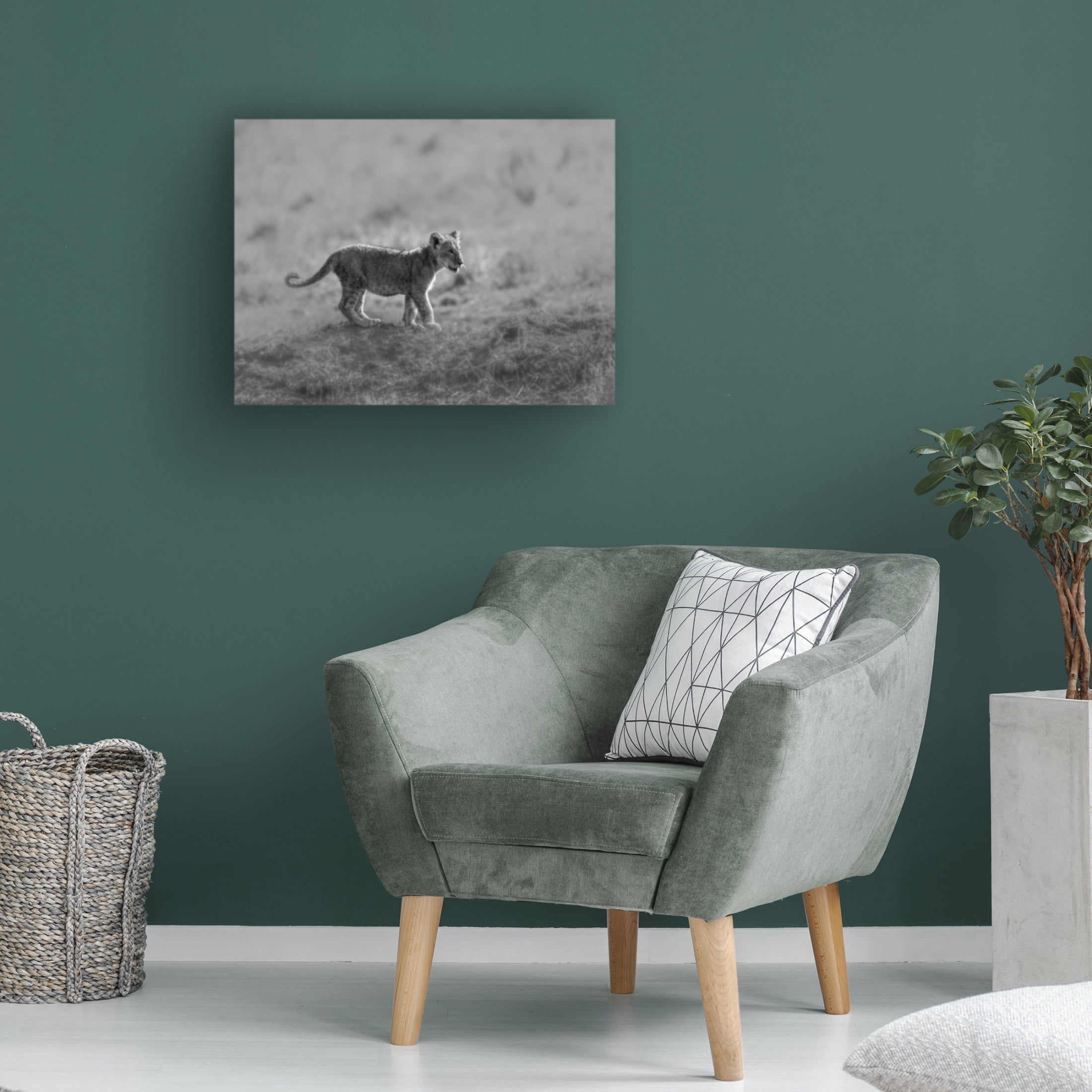 Trademark Fine Art Jaco Marx MORNING CAT Canvas Wall Art