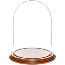 Plymor 5.5" x 8" Glass Display Dome Cloche (Walnut Veneer Base)