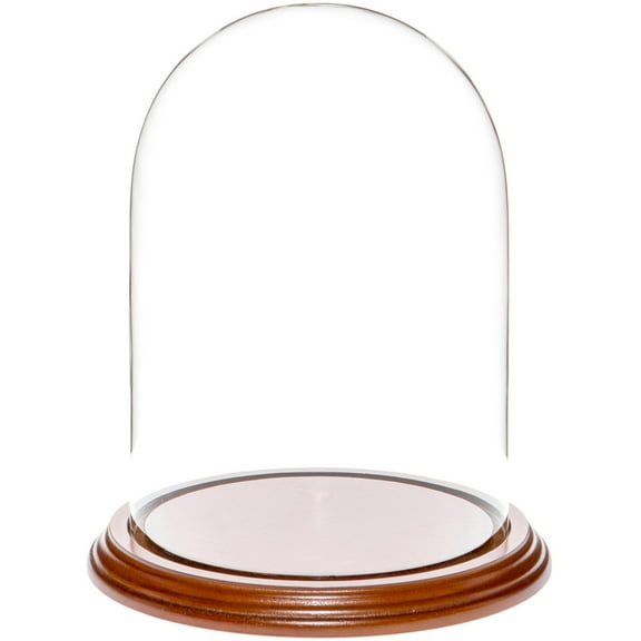 Plymor 5.5" x 8" Glass Display Dome Cloche (Walnut Veneer Base)