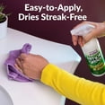 thumbnail image 3 of Simple Green  24 oz Citrus Scent Granite Cleaner & Polish Liquid, 3 of 8