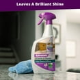 thumbnail image 5 of 1 PK, Rejuvenate RJ32GSCL-Rejuvenate 32 Oz. Granite & Stone Daily Cleaner, 5 of 7