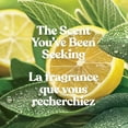 thumbnail image 4 of Bougie parfumée Yankee Candle, format original grande jarre, 4 of 8