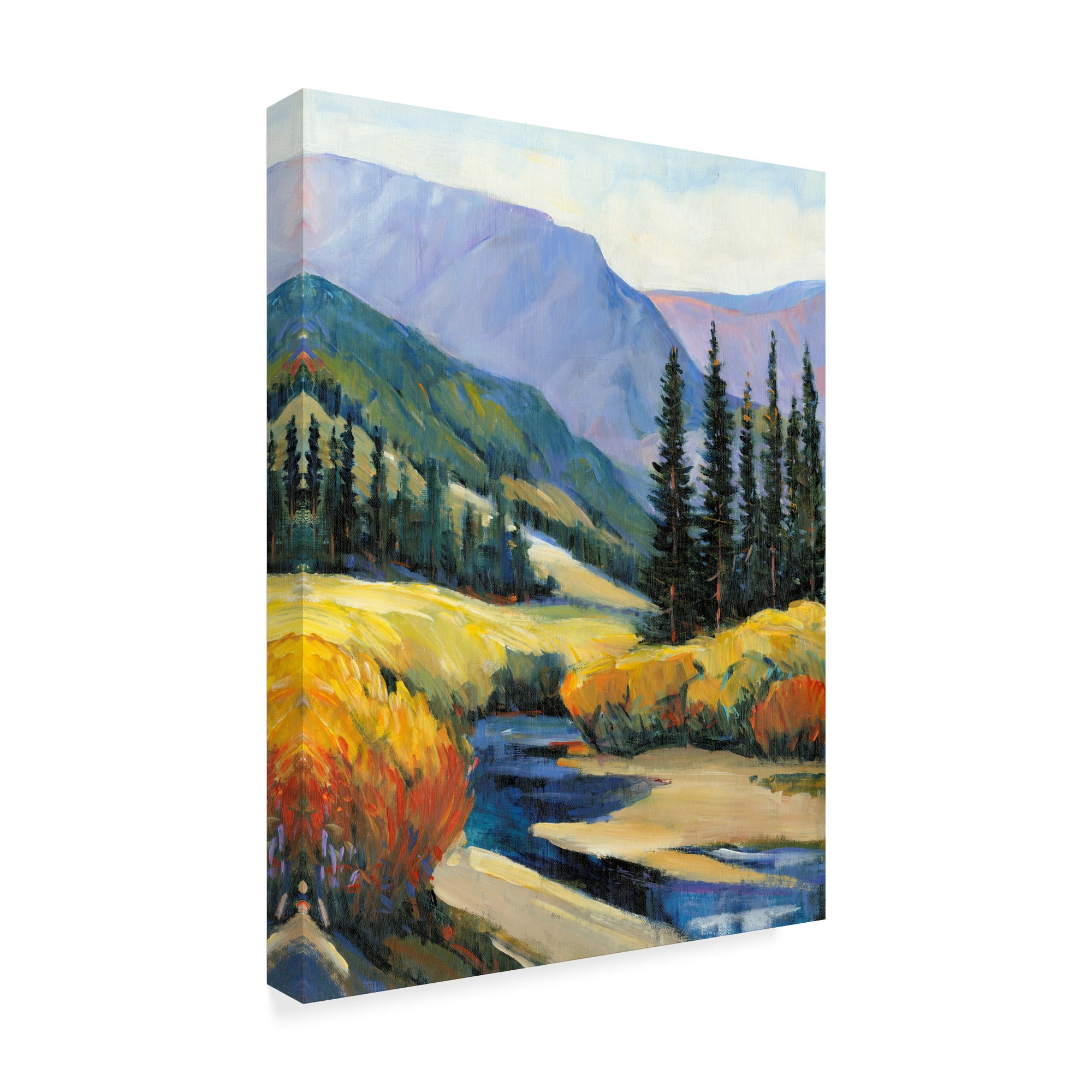 Trademark Fine Art 'Purple Mountain Majesty I' Canvas Art by Tim OToole