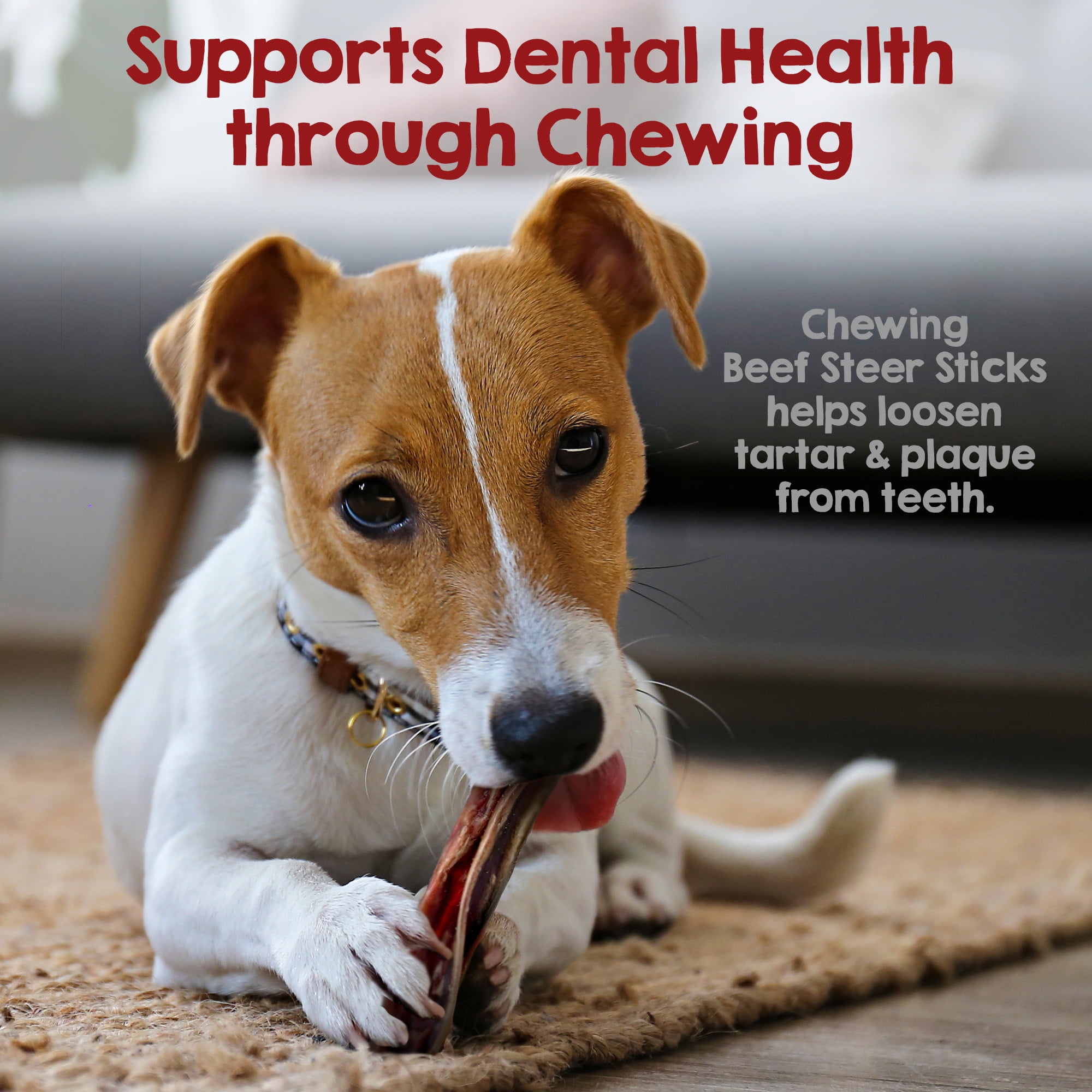 Riley's Steer Bully Sticks for Tiny to Small Dogs - Odor Free Bully Sticks for Small Dogs - Single Ingredient Dog Treat - Gluten-Free, 100% Beef Pizzle Sticks for Dogs - 4-6", 10ct