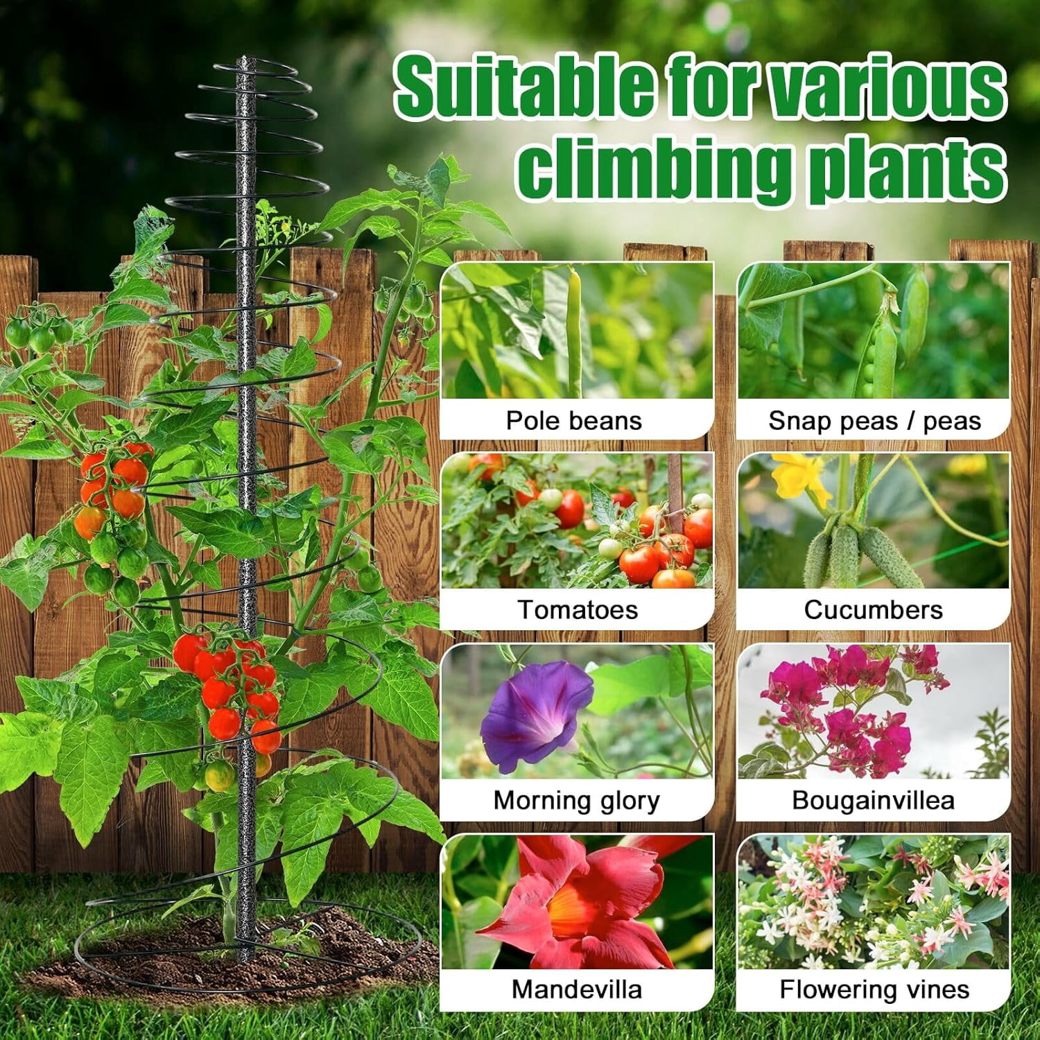 IHOMEPARK 73" Tall Garden Trellis for Climbing Plants Outdoor, 2 Pack Support Metal Plant Trellis for Potted Plants Light Vegetables Flowers