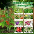 thumbnail image 6 of IHOMEPARK 73" Tall Garden Trellis for Climbing Plants Outdoor, 1 Pack Support Metal Plant Trellis for Potted Plants Light Vegetables Flowers, 6 of 8