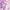 Pink, variant on Justice Girls 17" Iridescent Sequined Backpack, Lunch Bag, Water Bottle, and Charm Set, 4-Piece, White