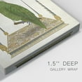 thumbnail image 3 of Green Parrot on Swing Premium Gallery Wrapped Canvas - Ready to Hang, 3 of 9