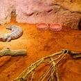 thumbnail image 4 of CHICHUMID Para Y Comida Para Reptiles En Resina Duradera Color Marrón, 4 of 6