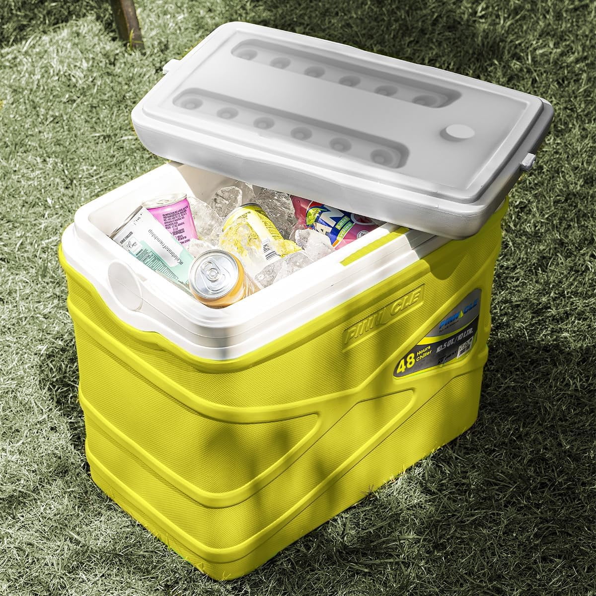 Pinnacle 10 L Insulated Cooler Lunch Box Portable Hard Cooler for Camping - Green