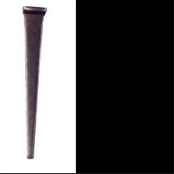 Acorn CF10Z 10 D Flooring Nail - 1 lbs