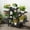 Black, variant on ColourTree Bamboo A-Frame Plant Shelf Stand 6 Tier for Indoor and Outdoor Use，Yellow