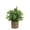 B, variant on Small Artificial Potted Plants, Faux Decorative Plants in White Plastic Pots for Home Office Indoor Outdoor Greenery Decorations, 8.66x2.55 inch