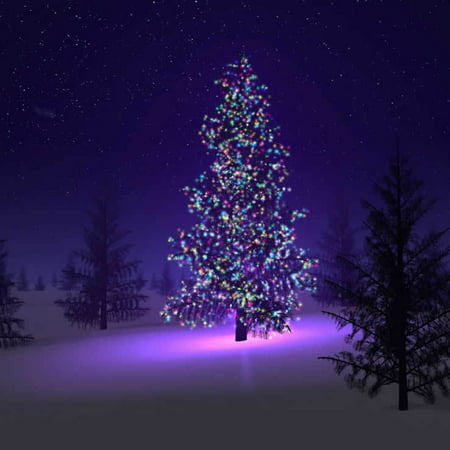 Colorful Firefly Solar mini LED Christmas Lights On (Best Rated Solar Christmas Lights)