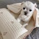 thumbnail image 3 of 3Pcs /Set Dog Bed Set with Pillow Mattress Comforter Removable Washable Cat Nest Soft Comfortable Pet Supplies Dog Accessories ShopWise Round, 3 of 6