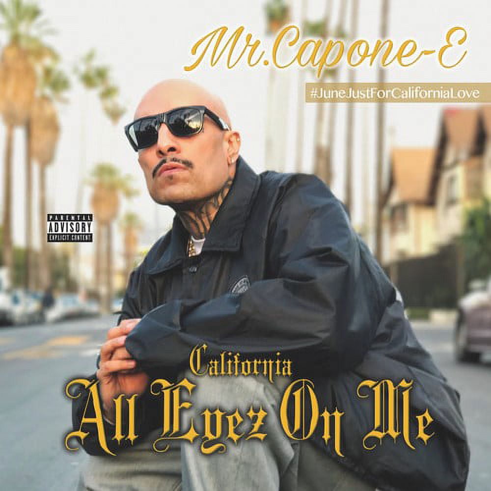 Mr. Capone-E レコードセット Mr Capone E, Mr Youngster, Mr Criminal , Snapper, Wicked Minds