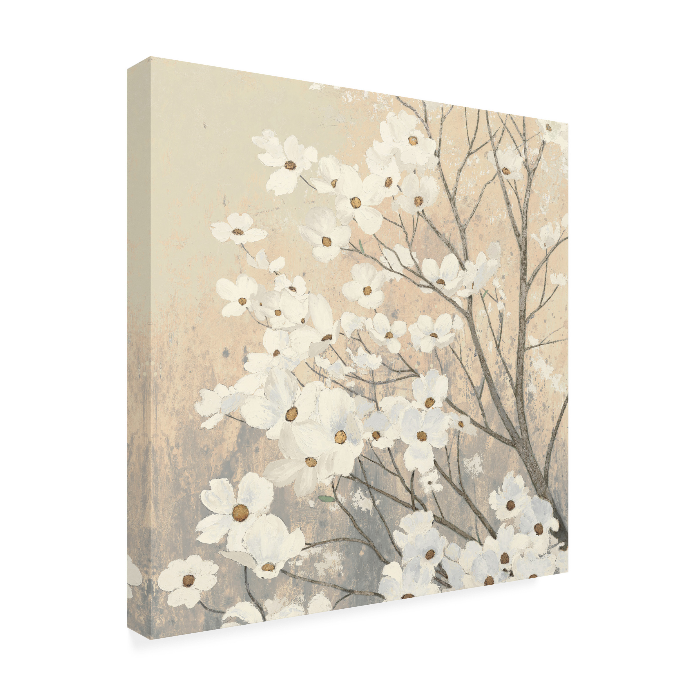 Trademark Fine Art 'Dogwood Blossoms II Neutral' Canvas Art by James Wiens