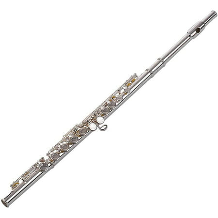 Short Xiao, Bamboo Chinese Flute Xiao, 1 Section (8 Holes G Key ...