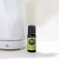 thumbnail image 2 of Edens Garden Mandarin- Green Essential Oil- 100% Pure Premium Grade, Undiluted, Natural, Therapeutic, Aromatherapy, The Best for Diffuser, Candle, Humidifiers, Kid Safe 10 ml (.33 fl oz), 2 of 8