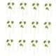 thumbnail image 1 of Decoración para bodas BuyWeekMX 12 piezas flores artificiales glicina, 1 of 9