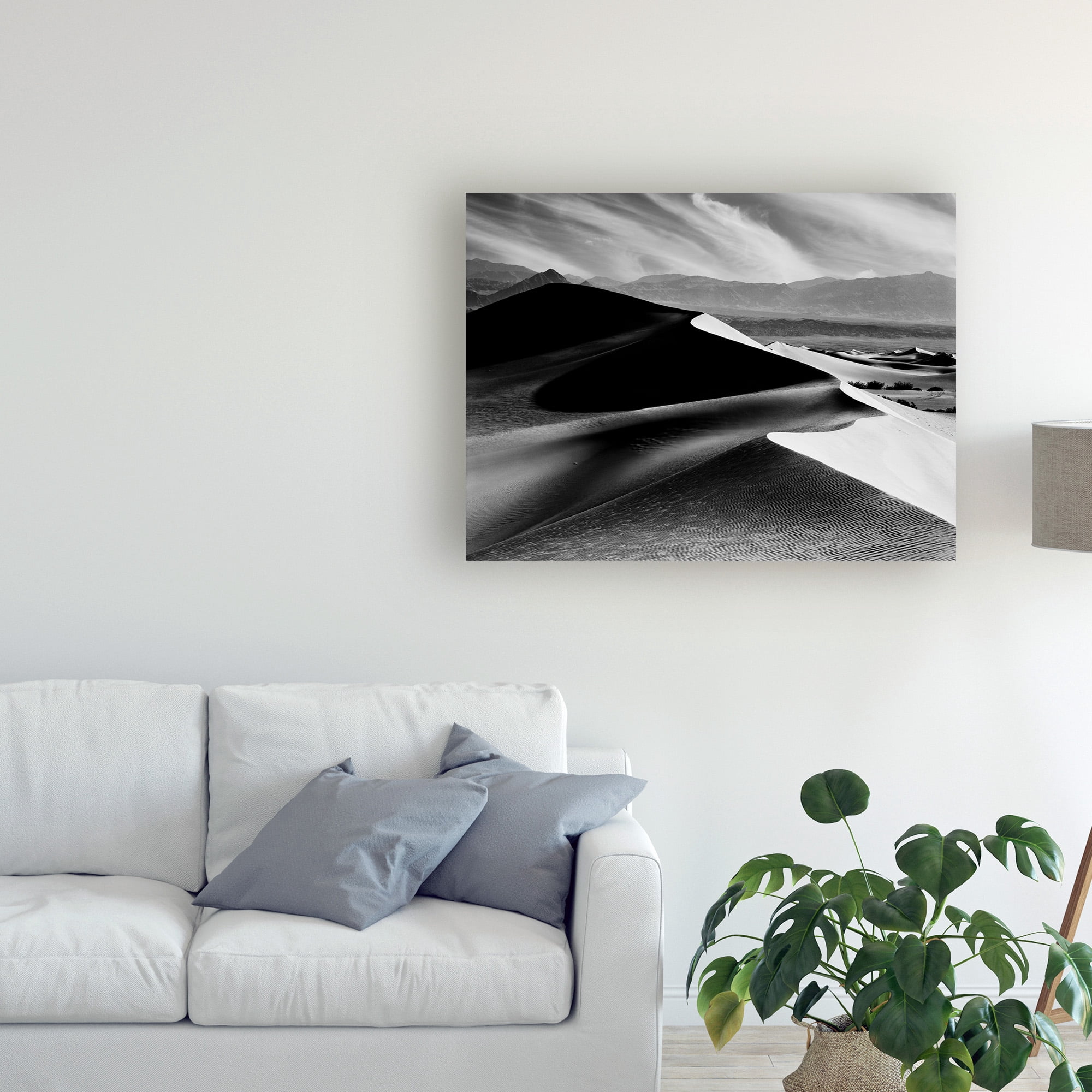 Trademark Fine Art 'Dunes At Mesquite Flats' Canvas Art by Monte Nagler