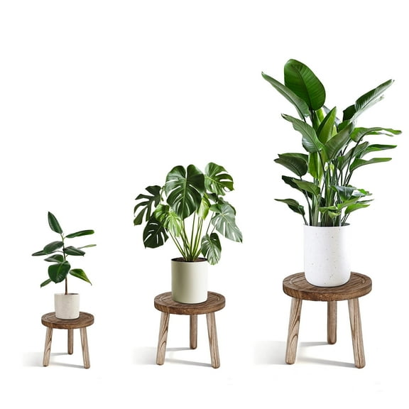 FOUKUS 3 Pack Wood Plant Stand Indoor: Carbonized Solid Wood Wooden Plant Stand Set for Layered plant Riser Planter Stand Display – Small Round Plant Stool Pot Stand for Plants Indoor Home Decor