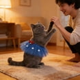thumbnail image 6 of Chmadoxn Independence Day Pet Costume Set, 4th of July Dog Cat Tutu Skirt Hat Headband, Red White and Blue Patriotic Stars Stripes Outfit for Small Medium Dogs, Memorial Day Party, 6 of 6