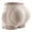 Beige, variant on WTXUE Womens Panties Shaping & Control Tummy Pants Womens Bottoming Hip Lifting Pants with Pads Pp Peach Hip Flat Angle Waist Shaping Underwear | 1 Piece Beige M