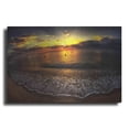 thumbnail image 1 of Luxe Metal Art 'Another Day In Paradise' by Sebastien Lory, Metal Wall Art, 36"x24", 1 of 7