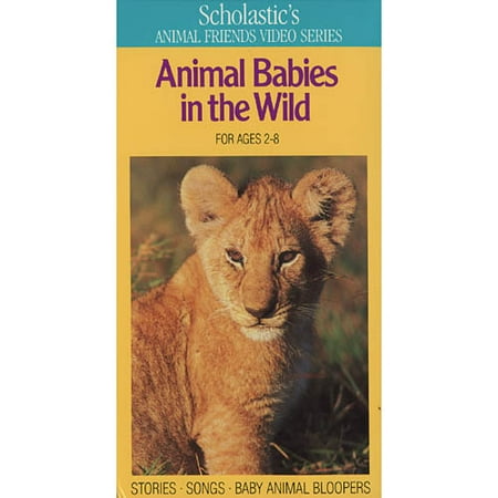 Baby Animals In The Wild (Full Frame)