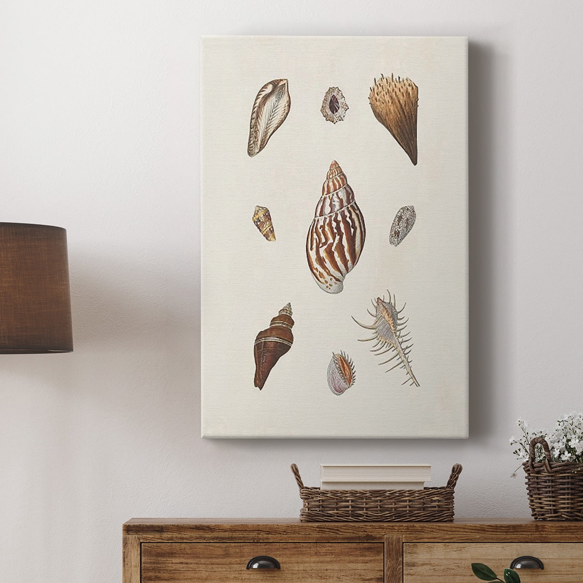 Knorr Shells & Coral IX Premium Gallery Wrapped Canvas - Ready to Hang