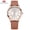 Brown, variant on MINIFOCUS Women Watches Waterproof Blue Leather Strap Top Brand Luxury Fashion Casual Quartz Ladys Wrist Watch Relogio Feminino
