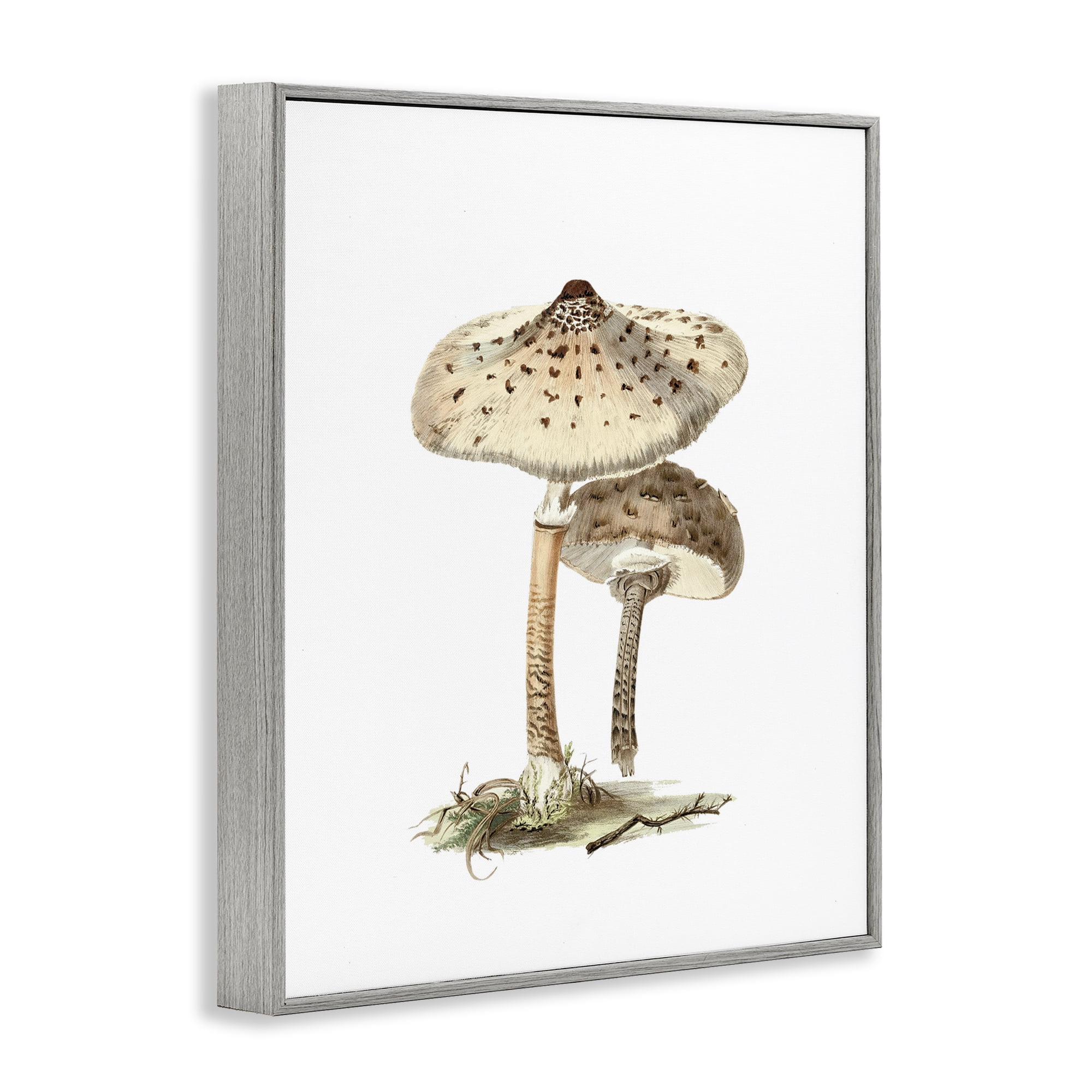 Stupell Industries Neutral Brown Mushrooms Botanical & Floral Painting Gray Framed Art Print Wall Art, 16 x 20
