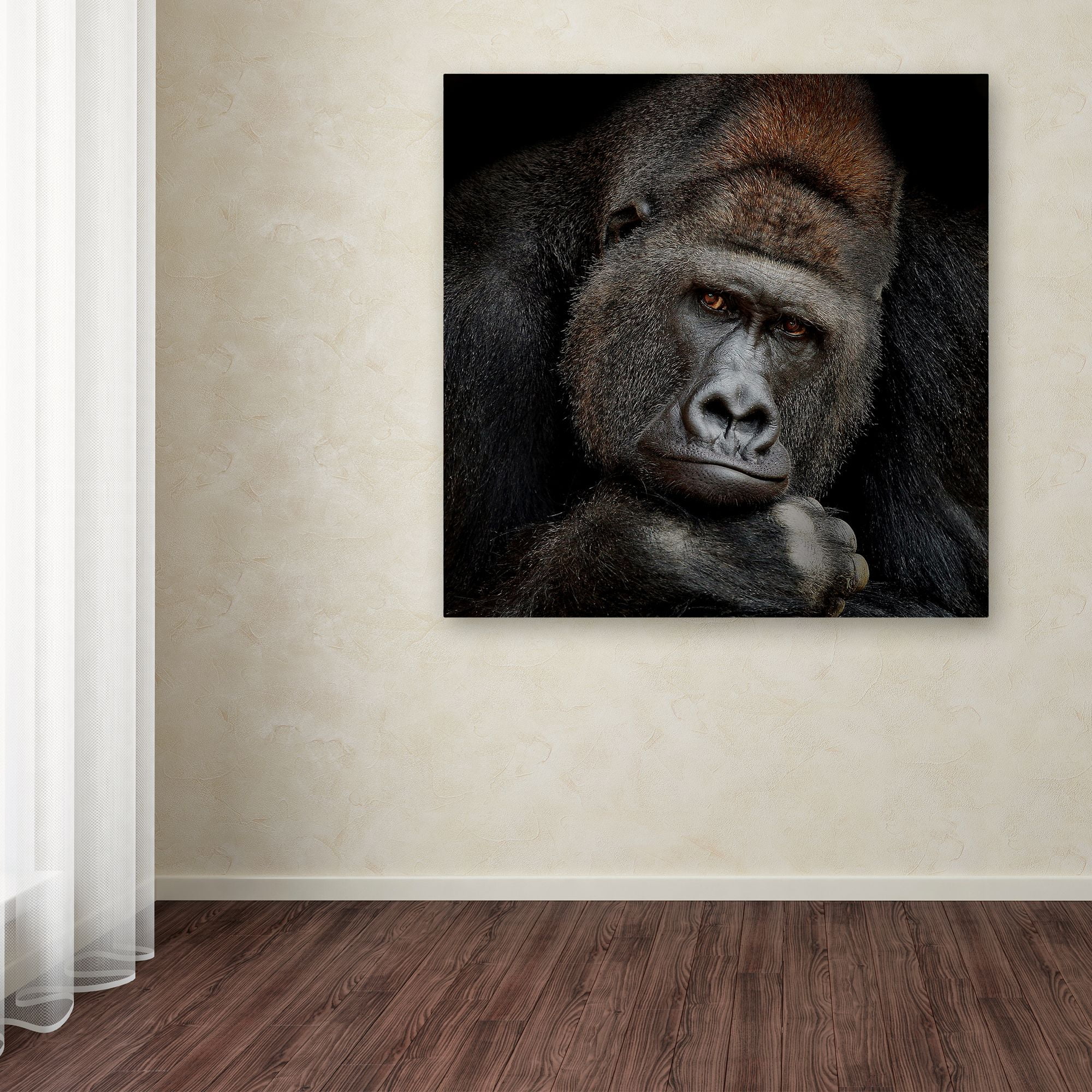 Trademark Fine Art 'One Moment In Contact' Canvas Art by Antje Wenner-Braun