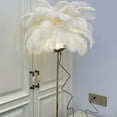 thumbnail image 4 of Ostrich Feather Floor Lamp Iron Art 61 Inch Decorative Standing Lamp 3 Color Temperature LED USB Rechargeable Touch Switch Stepless Dimmable for Bedside Living Room, 4 of 7