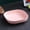 P, variant on CHUNTIAN Reusable Plastic Plate Tray Fruit Dessert Plate Home Side Dish Vegetable Salad Plate Pastry Storage Bowl Cutlery Set