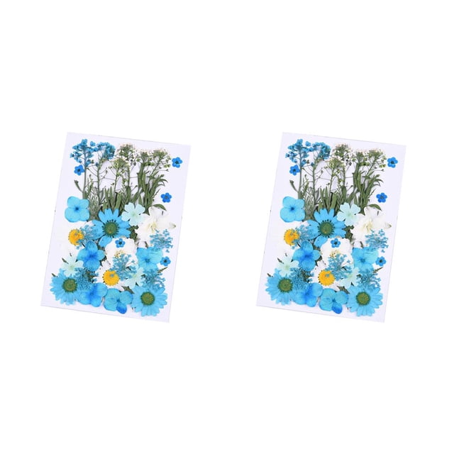 Advancent Ramos de flores secas, flores prensadas, decoraciones de mixtas, accesorios de bricolaje, suministros para álbumes de recortes, artículos C 2piezas Advancent CBP225188