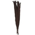 thumbnail image 6 of 35" Tall Dried Plant Natural Foliage Pampas Grass Bouquet, by DecMode, 6 of 7