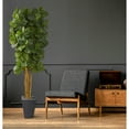 thumbnail image 6 of Nearly Natural Fiddle Leaf Artificial Tree in Slate Planter, 6 of 6