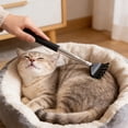 thumbnail image 3 of Plastic Cat Toy Black Retractable Cat Wand Toy with Long Handle Interactive Teaser for Active Play Scratch and Massage Function(1Pcs) JASKFLY, 3 of 8