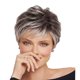 thumbnail image 1 of Peluca Blanca con Degradado para Personas de Mediana Edad y Ancianas, Peluca de Estilo de Cabello de Malla Rosa de Alta Gama, 1 of 7