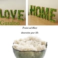 thumbnail image 3 of Moss Preserved Artificial Moss 8.8 oz Natural Fresh Green Moss for Craft Arts Floral Project Wall Decor Table Decor Wedding Centerpieces Garden Terrariums Decoration, 3 of 6