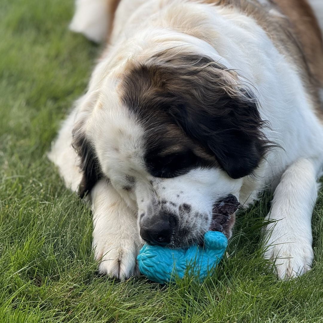 Yeti Puff and Play Interactive Treat Dispensing Dog Toy, Blue