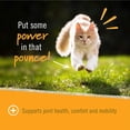 thumbnail image 5 of Pet Naturals Hip + Joint Chews for Cats, Duck, 30 Count, 5 of 6