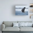 thumbnail image 2 of Shlomo Waldmann 'Bald Eagle' Canvas Art, 2 of 4