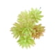 thumbnail image 3 of Plantas de Flor Edelweiss perfecl Follaje Decoración artificial, 3 of 5