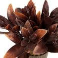 thumbnail image 6 of Northlight Two-Tone Artificial Foliage Plant in a Textured Lined Pot - 8", 6 of 6
