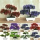 Luckyn A Simulation Lotus Pine Flower Bonsai Set Petites Plantes Vertes en Pot – image 4 sur 5