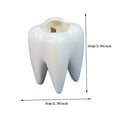 Goseagotofun Candle Holders Metal Denture Must Fire Large Tooth Model